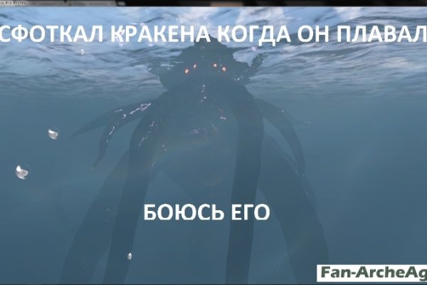 Kraken вход kraken torion