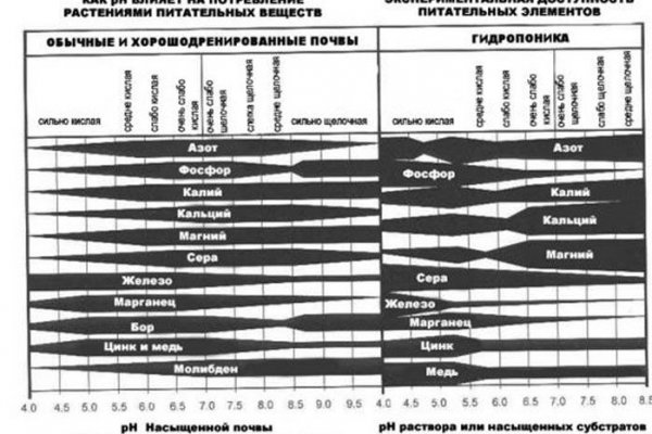 Кракен сайт как зайти