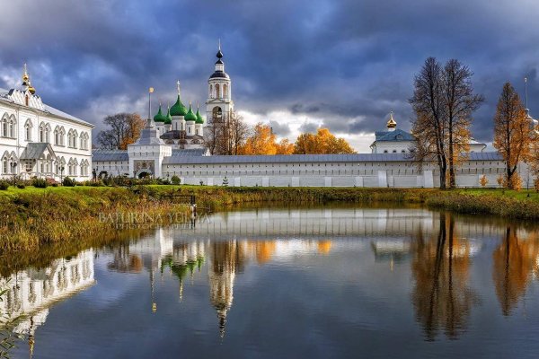 Какая ссылка у кракена