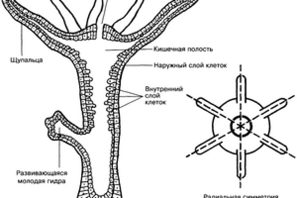 Kraken наркотики сайт