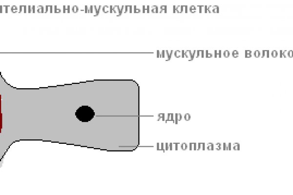 Ссылка на кракен в тор